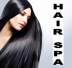 Hair Spa Protein treatment helps to shine & repair dry - damaged lifeless hair, Helps to stop hair loss. it just like Facial to your hair. Shruti's Salon ,Aldie